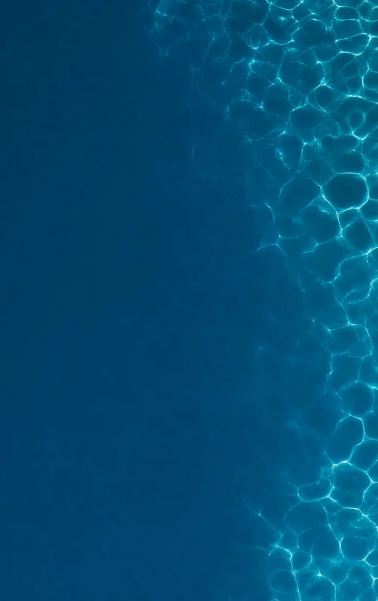 Piscina azul vista de cima, com borda de pedra e vegetação